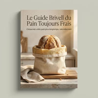 Le Guide Complet de Conservation du Pain